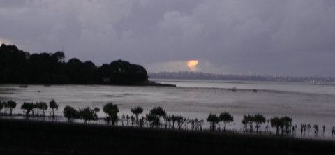 Looking at West Harbour from Cox's Bay