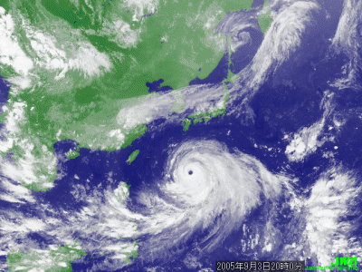 A japanese hurricane?