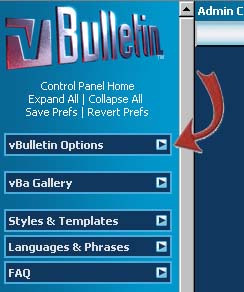 vBulletin and vBOptions