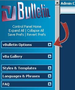 vBulletin and vBOptions